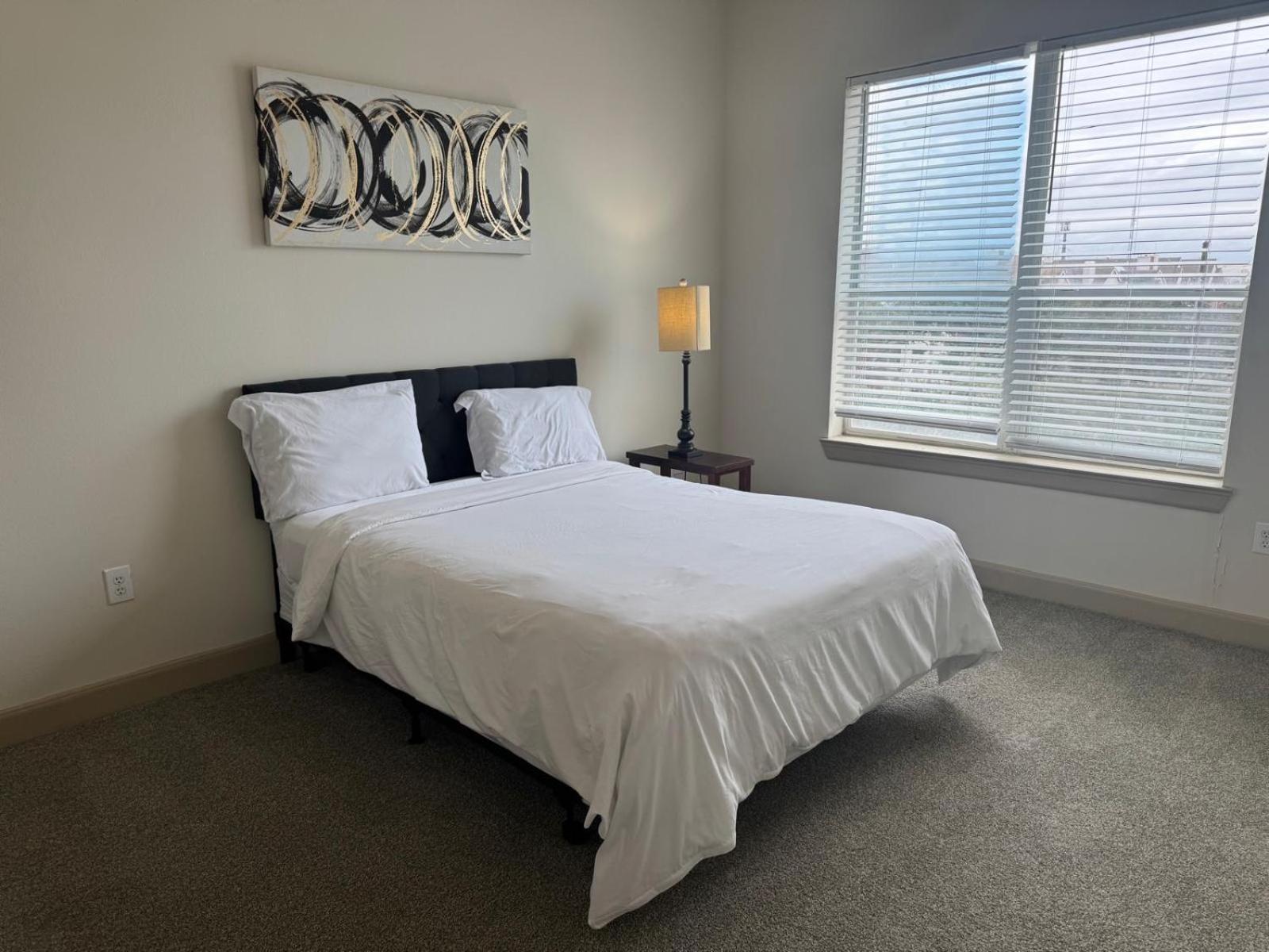 Gorgeous Furnished Apartments Near Texas Medical Center & Nrg Stadium Хьюстон Номер фото
